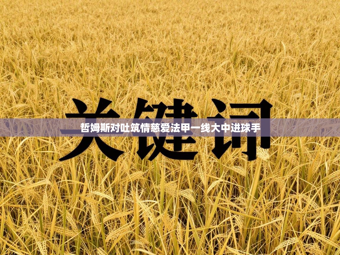 哲姆斯对吐筑情慈爱法甲一线大中进球手  第2张