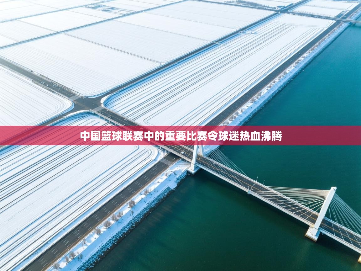 中国篮球联赛中的重要比赛令球迷热血沸腾  第2张